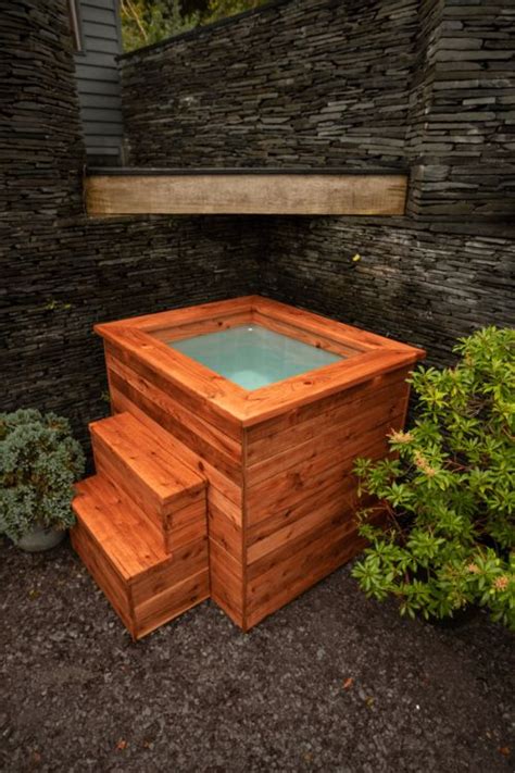 Woodland sauna and plunge pool experience opens in Hampshire